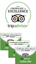 Tripadvisor Certificate Of Excellence